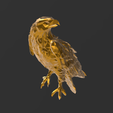 Screenshot_13.png Low Poly - Noble Eagle Magnificent Design