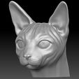 11.jpg Sphynx cat head for 3D printing