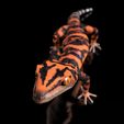 GoniurosaurusSzeneDark9.jpg Archivo 3D Japanese Cave Gecko-Goniurosaurus orientalis-STL with Full-Size-Texture-High-Polygon- 3D Model incl. Zbrush- Originals・Diseño de impresión en 3D para descargar
