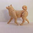 1645778734062.jpg Shiba inu BJD