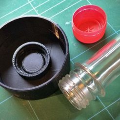 IMG_9232.jpg Free STL file PETling Pole Cap 60 mm・3D printer model to download