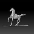 horse3.jpg Horse - horse decorative - beautiful horse
