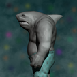 13.png King Shark | The Suicide Squad