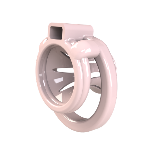 pic1.png Flat / Inverted chastity cage
