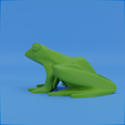 0020.png Frog stylized