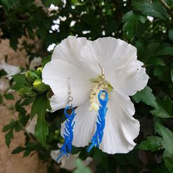 20180705_100218.jpg earring