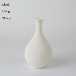 white17.jpg planl vase of korean style 2