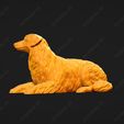 571-Australian_Shepherd_Dog_Pose_09.jpg Australian Shepherd Dog 3D Print Model Pose 09