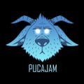 PucaJam