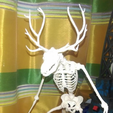 Capture d’écran 2017-03-28 à 15.08.21.png Free STL file Unknown Creatures N° 1 - Wendigo Skeleton・3D print design to download