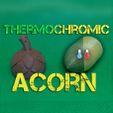 thermocromic-acorn.jpg GeoBellota - Geocaching