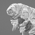 rendersquare.png Tardigrade