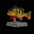 peacock-bass-trophy-1-1-6.png Peacock bass (Cichla ocellaris) fish in motion trophy statue for 3d printing