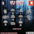 720X720-xmyminitribe.jpg Wild Forest Set (25 Pre-supported miniature bases +2 bonus model)