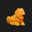 3855-Chow_Chow_Smooth_Pose_08.jpg Chow Chow Smooth Dog 3D Print Model Pose 08