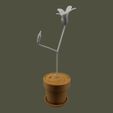 349231468_960000105263900_6525828127154928236_n.jpg Angry Flower (TikTok)