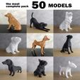 cults-Fotos-Pack-2.jpg PACK LOW POLY DOGS - 50 MODELS - THE MOST COMPLETE - COMMERCIAL LICENSE