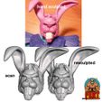 6.jpg Plundor / Rabbit warrior custom head motu origins / classics