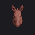 donkey_0001.jpg Donkey Head