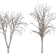 Tree-wireframe.png Trees