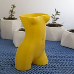 _SAM0424.jpg Pot de torse féminin