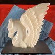 IMG_8092-1.jpg STL file Pegasus:Sky Warrior・3D printer model to download