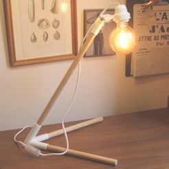 photo_1.JPG Бесплатный STL файл Lampe design bois à monter / Wooden style DIY lamp・Шаблон для загрузки и 3D-печати