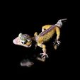 LeopardGecko_BySophie_Szene.jpg Leopard Gecko (Color Shape)-STL 3D Print File - with Full-5