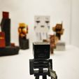 IMG_20220411_142932.jpg Esqueleto murcho Mob de esqueleto do Minecraft