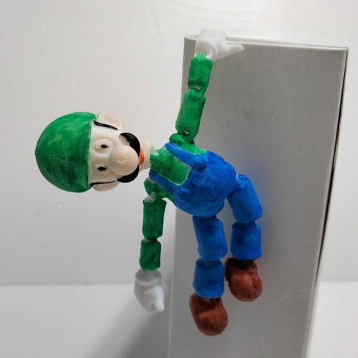 WhatsApp-Image-2023-03-04-at-19.17.05.jpeg flexi luigi