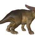 CHASMOSAURUS-3.jpg Chasmosaurus belli