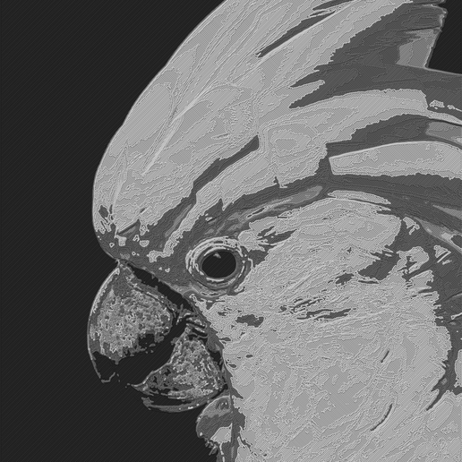 Cacatua-Print.png Какаду Хуефорж 147 х 220 мм