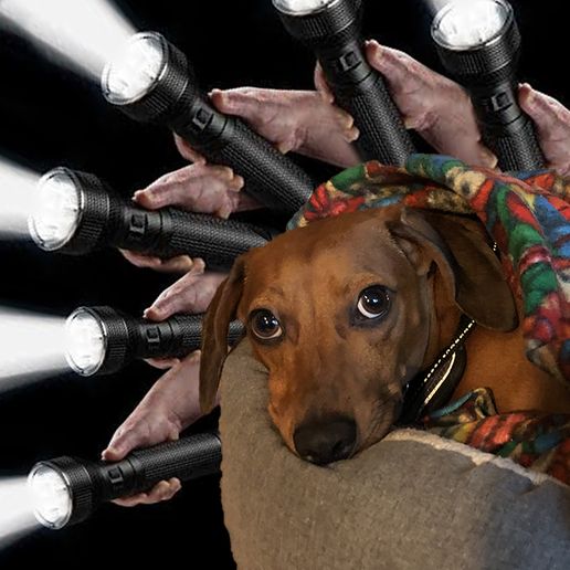 Lazy 4th planet adjacent battle doggo flashlight arm 3D model