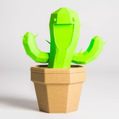c165e9432fca5d20ea3d4accda7ffbe2_display_large.jpg Free STL file Smiling Cactus Container・3D printing idea to download, Digitang3D