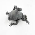 IMG_4330.jpg Batman Flexi Toad Frog articulated print-in-place no supports