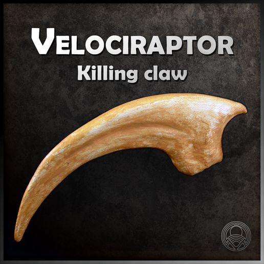 🦖 Velociraptor Claw・Free STL File for 3D printing・Cults