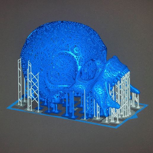 preview10.jpg Filigraner anatomischer Schädel