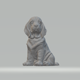 1.png Basset Hound Dog 3D print model