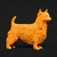 672-Australian_Terrier_Pose_03.jpg Australian Terrier Dog 3D Print Model Pose 03