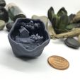 IMG-5256.jpg The "Crystal Witch Cottage" D20 Dice Insert
