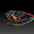 Snake_Head_3Demon-06.jpg Gaboon Viper Snake Skull