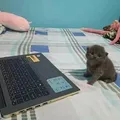 ITakeBitcoin
