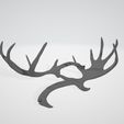 D3.jpg FILIGREE Deer or Elk SKULL WITH HORN