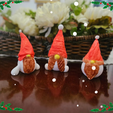Diseño-sin-título.png Gnomes decoration