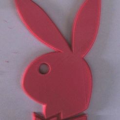 bunny.jpg Playboy bunny logo