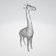 3.jpg Giraffe