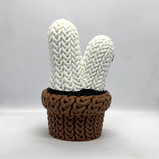 KGP-3.jpeg Knitted Ghost Plant