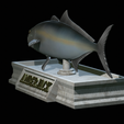 Greater-Amberjack-statue-18.png fish greater amberjack / Seriola dumerili statue detailed texture for 3d printing