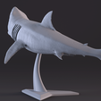 11.png White Shark Statue