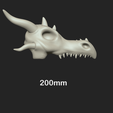 size.png Dragon Skull - Medieval Fantasy Fossile Printable STL